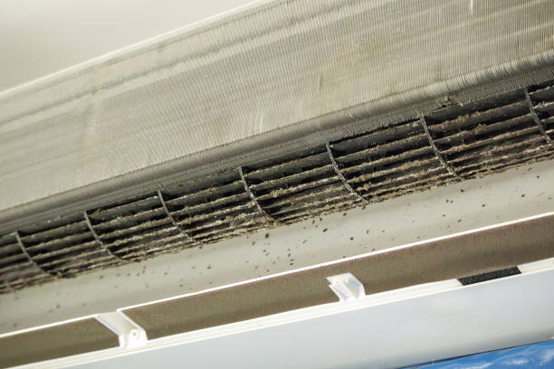 Best Professional Duct Cleaning Services  in Port Clinton, OH